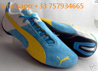 puma renault f1